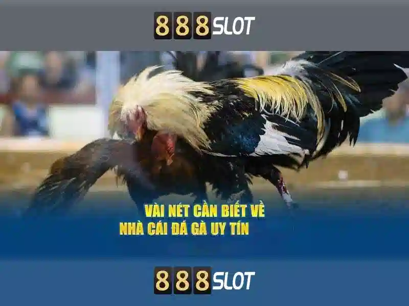Đăng Ký 888SLOT Ngay Hôm Nay