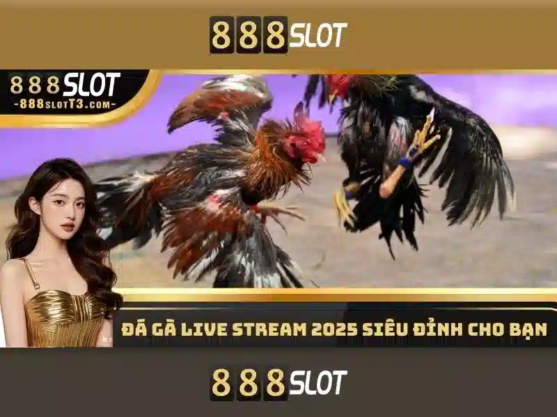 quy định bảo mật 888SLOT
