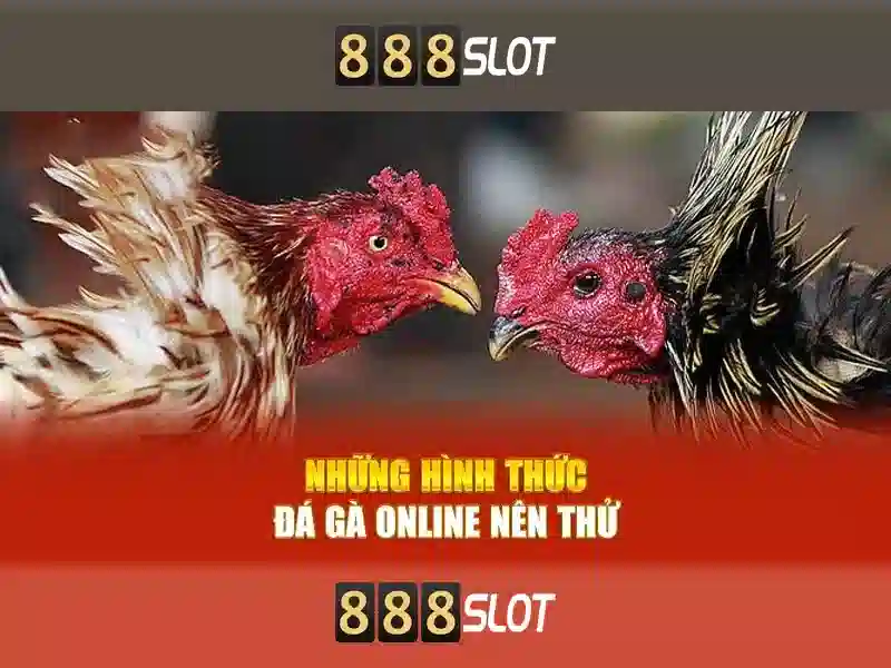 Ưu Đãi Slot