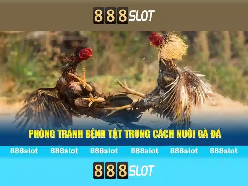 Giao Diện 888SLOT