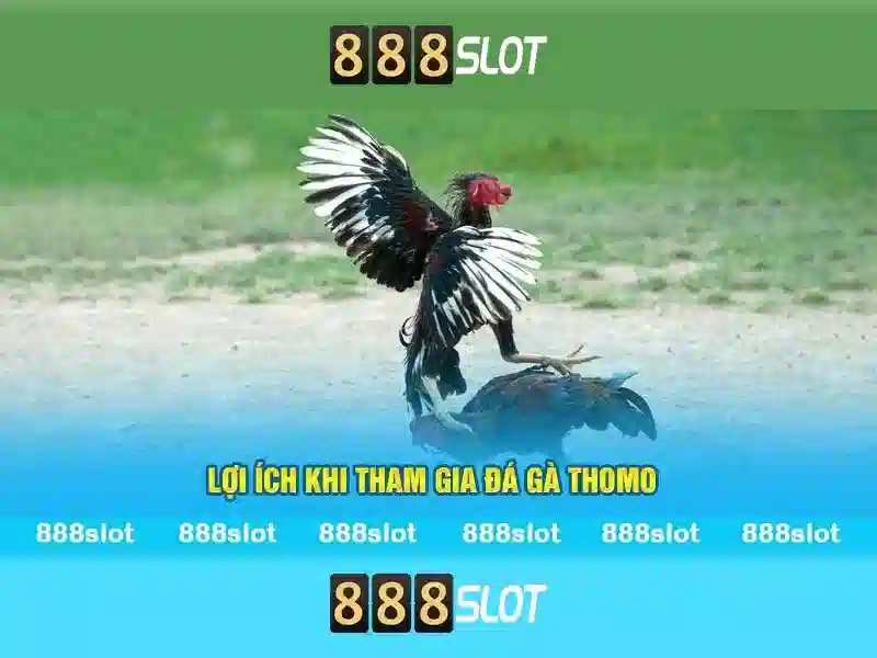 Kênh 888slot channel
