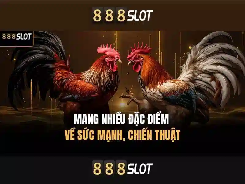 Ưu Điểm Của Slot 888 Bet