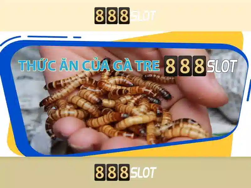 Đánh Giá Chi Tiết Về 888slot Bet