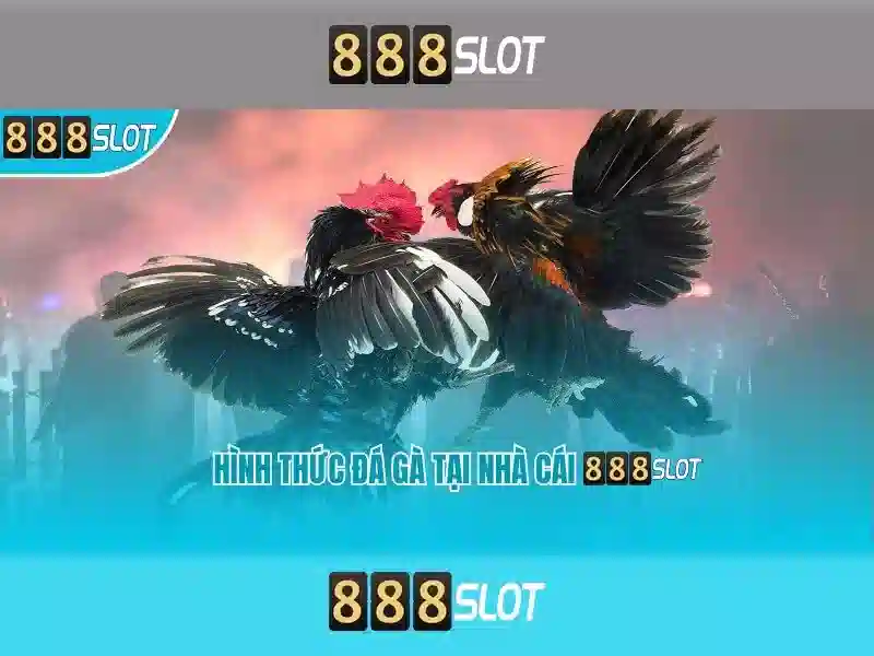 Lý Do Chọn 888SLOT