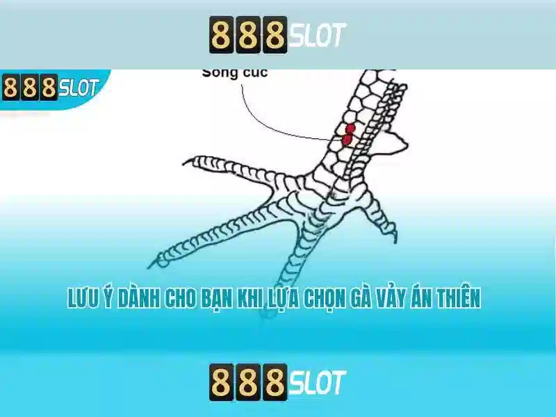 Ưu Đãi