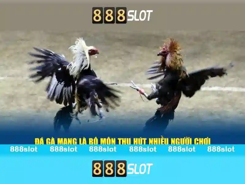 Ưu đãi độc quyền 888SLOT
