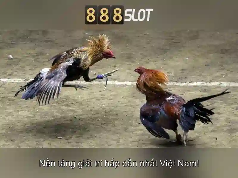 888SLOT - Trải Nghiệm Game Slot Đỉnh Cao Với 888slot Game 2026