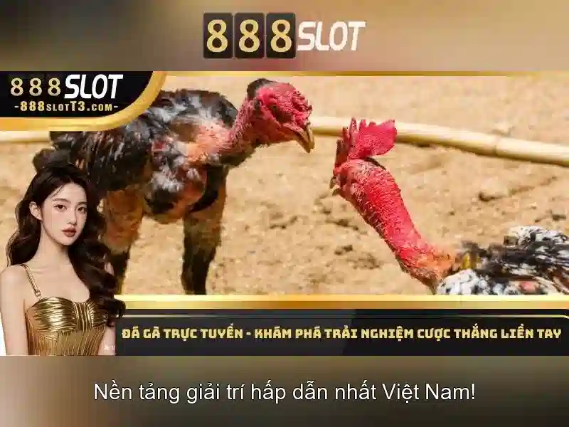 Quyền riêng tư của người chơi