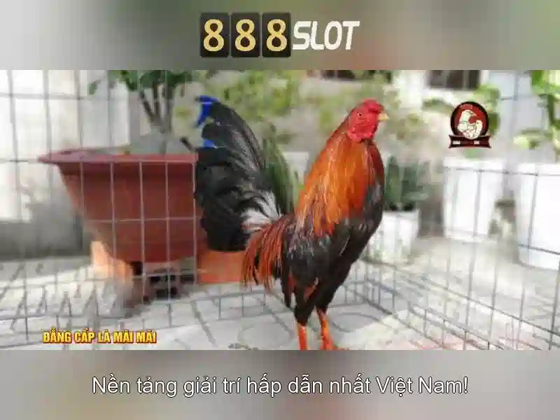 888SLOT – Trải Nghiệm Slot Đỉnh Cao 888 Slot 89