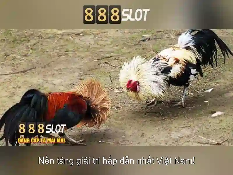 888SLOT chính thức