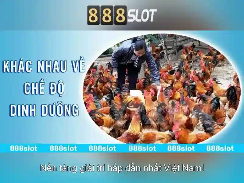 888SLOT - APK 888SLOT APK - Trải Nghiệm Slot Đỉnh Cao 2026