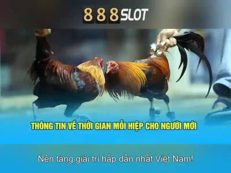 Trải nghiệm chơi Slot đổi thưởng 888SLOT