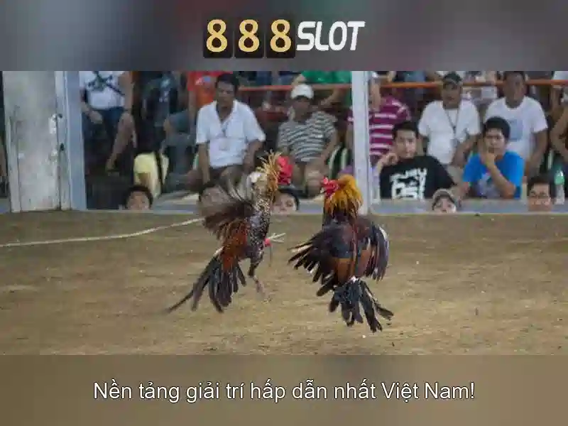 888SLOT IMG.END --></p><h2>888 slot tải app – Hướng Dẫn Tải App Và Trải Nghiệm</h2><p>Để bắt đầu trải nghiệm 888SLOT, người chơi có thể tải app 888 slot tải app trên điện thoại thông minh. Giao diện đơn giản giúp người dùng dễ dàng thao tác và tham gia các trò chơi Slot bất cứ lúc nào. 888SLOT cũng cung cấp hỗ trợ 24/7 để giải đáp thắc mắc cho người chơi.</p><h3>888SLOT – Kết Nối Với Cộng Đồng Người Chơi</h3><p>888SLOT xây dựng cộng đồng người chơi đông đảo với nhiều hoạt động tương tác. Người chơi có thể tham gia các cuộc thi, chia sẻ kinh nghiệm và nhận quà tặng từ các sự kiện do 888SLOT tổ chức. Đây là cơ hội tuyệt vời để nâng cao kỹ năng chơi Slot và tận hưởng niềm vui giải trí.</p><p class='body_img'></p><h2>888 slot tải app – Hướng Dẫn Tải App Và Trải Nghiệm</h2><p>Để bắt đầu trải nghiệm 888SLOT, người chơi có thể tải app 888 slot tải app trên điện thoại thông minh. Giao diện đơn giản giúp người dùng dễ dàng thao tác và tham gia các trò chơi Slot bất cứ lúc nào. 888SLOT cũng cung cấp hỗ trợ 24/7 để giải đáp thắc mắc cho người chơi.</p><h3>888SLOT – Kết Nối Với Cộng Đồng Người Chơi</h3><p>888SLOT xây dựng cộng đồng người chơi đông đảo với nhiều hoạt động tương tác. Người chơi có thể tham gia các cuộc thi, chia sẻ kinh nghiệm và nhận quà tặng từ các sự kiện do 888SLOT tổ chức. Đây là cơ hội tuyệt vời để nâng cao kỹ năng chơi Slot và tận hưởng niềm vui giải trí.</p><p class='body_img'><div class=